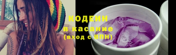 спиды Каменка
