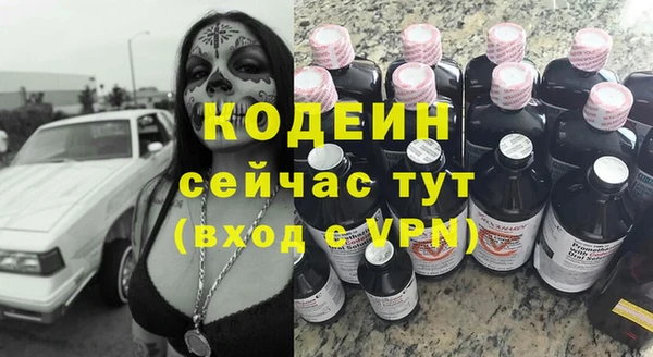 индика Киреевск