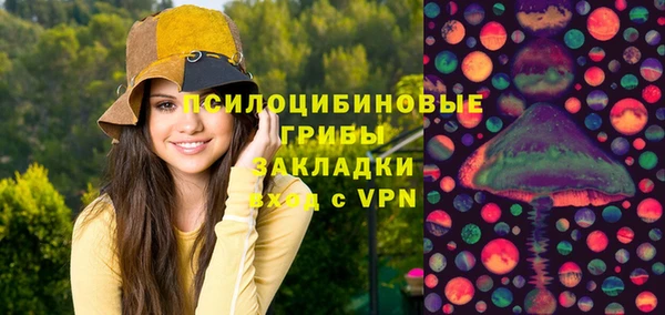 тгк Касимов