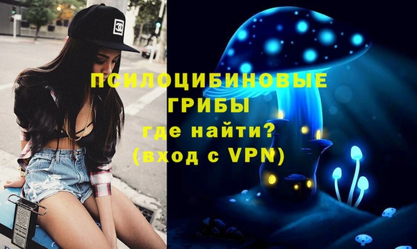 спиды Каменка