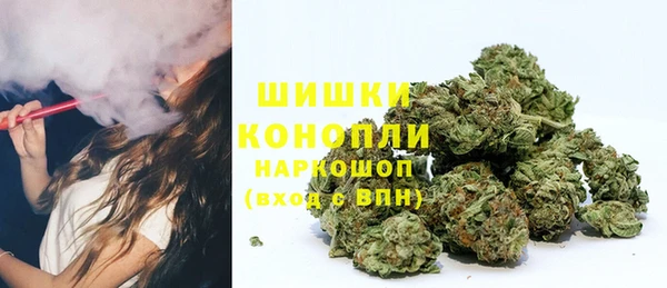PSILOCYBIN Карталы