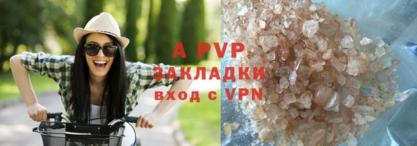 PSILOCYBIN Карталы