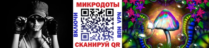OMG ТОР  Ревда  площадка состав  Псилоцибиновые грибы мицелий 