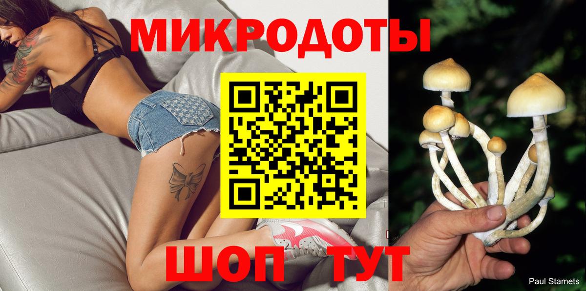 Ревда  Псилоцибиновые грибы MAGIC MUSHROOMS  Вход с VPN 